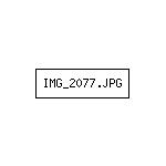 IMG_2077.JPG